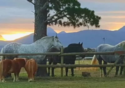 Outeniqua Moon