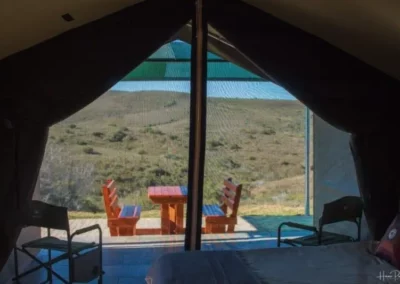 Hartenbos Private Game Lodge