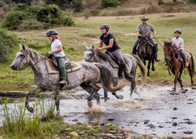 Botlierskop horseback safaris