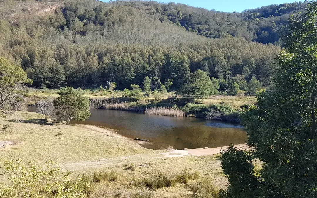 Wolwedans Dam Hike | Groot Brakrivier