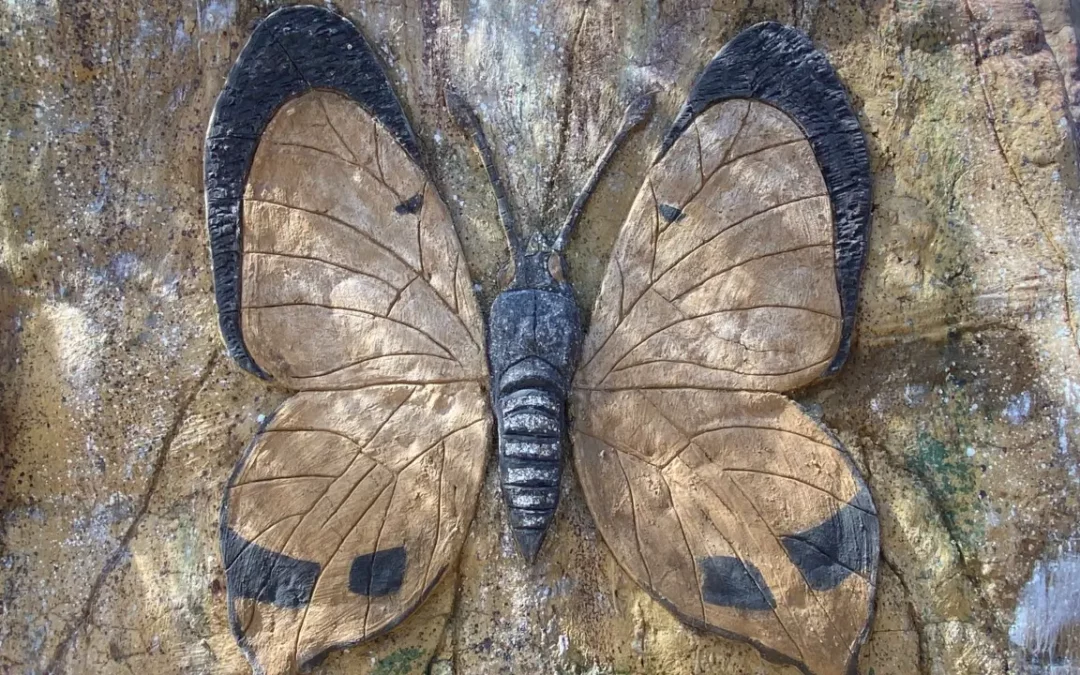 The Western Cape Butterfly Sanctuary