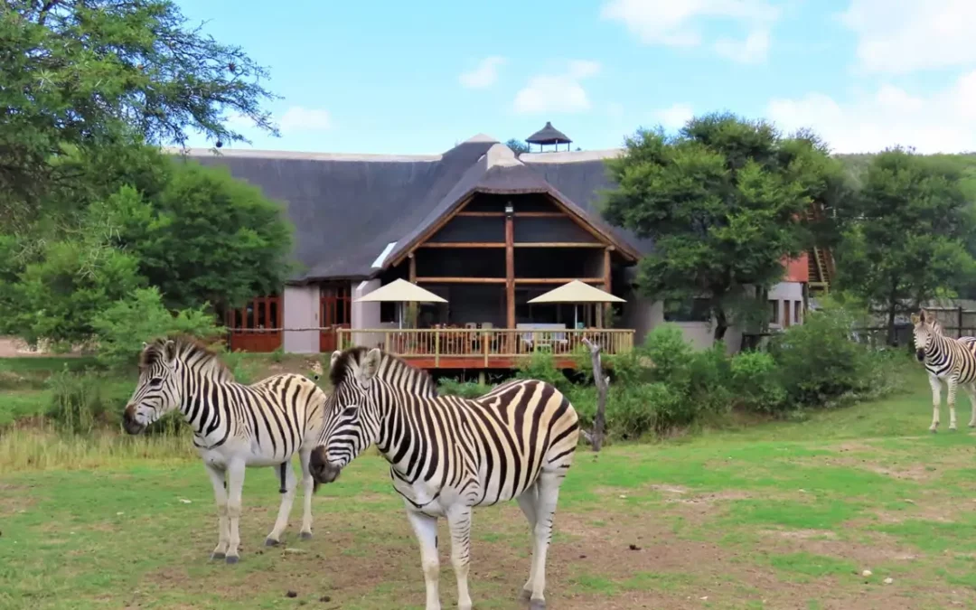 Garden Route Safari Camp