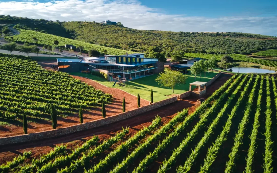 Jakkalsvlei Private Cellar