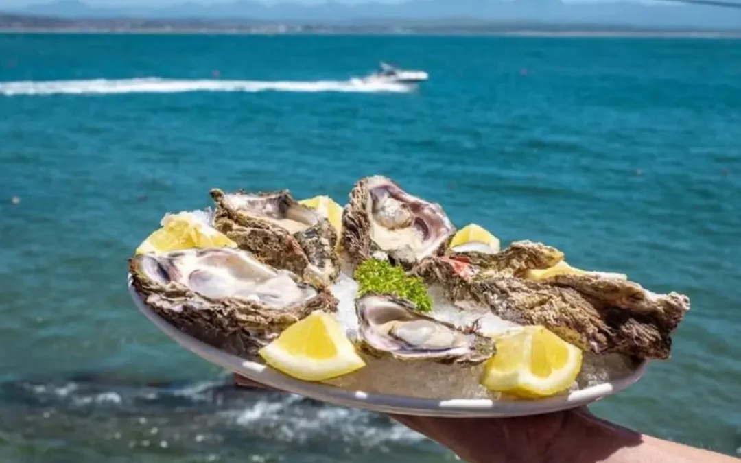 Mossel Bay Oyster Bar