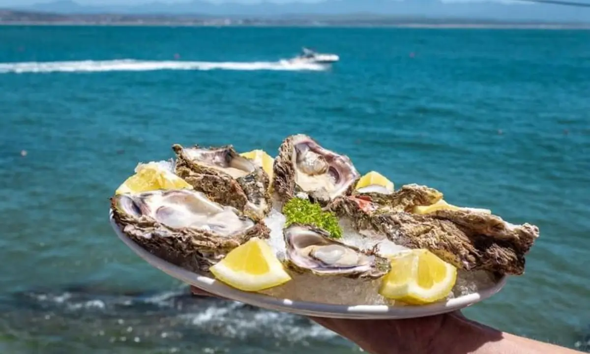 Mossel Bay Oyster bar cover