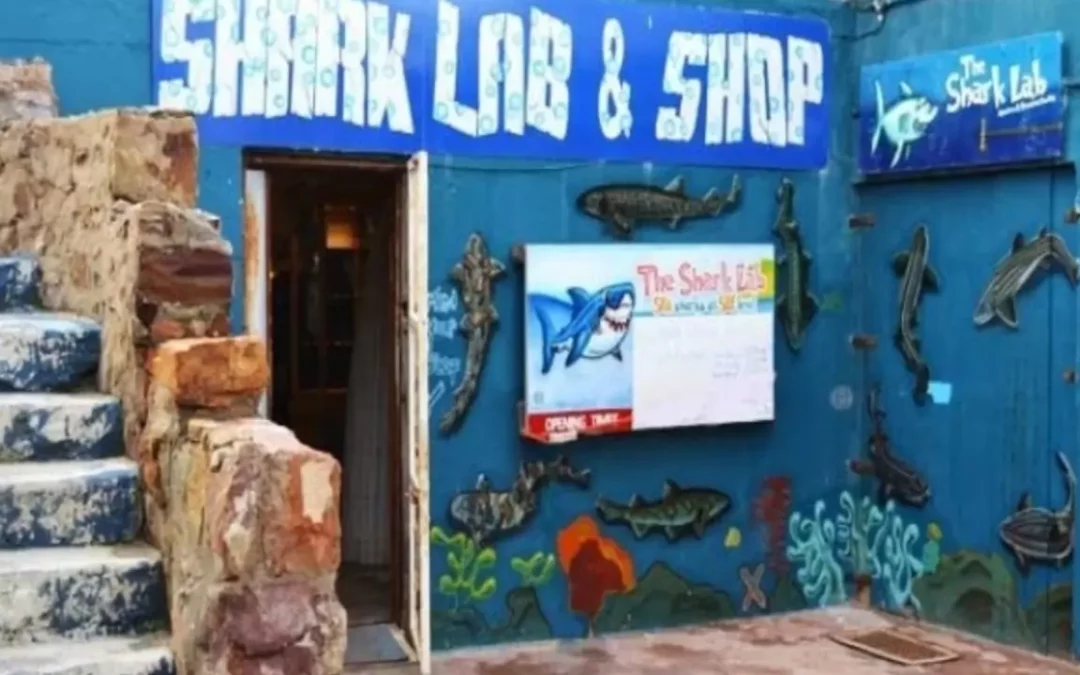 The Shark Lab Aquarium