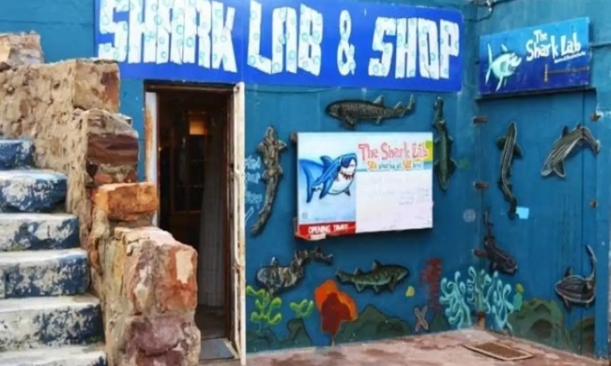 SHARK lab Cover