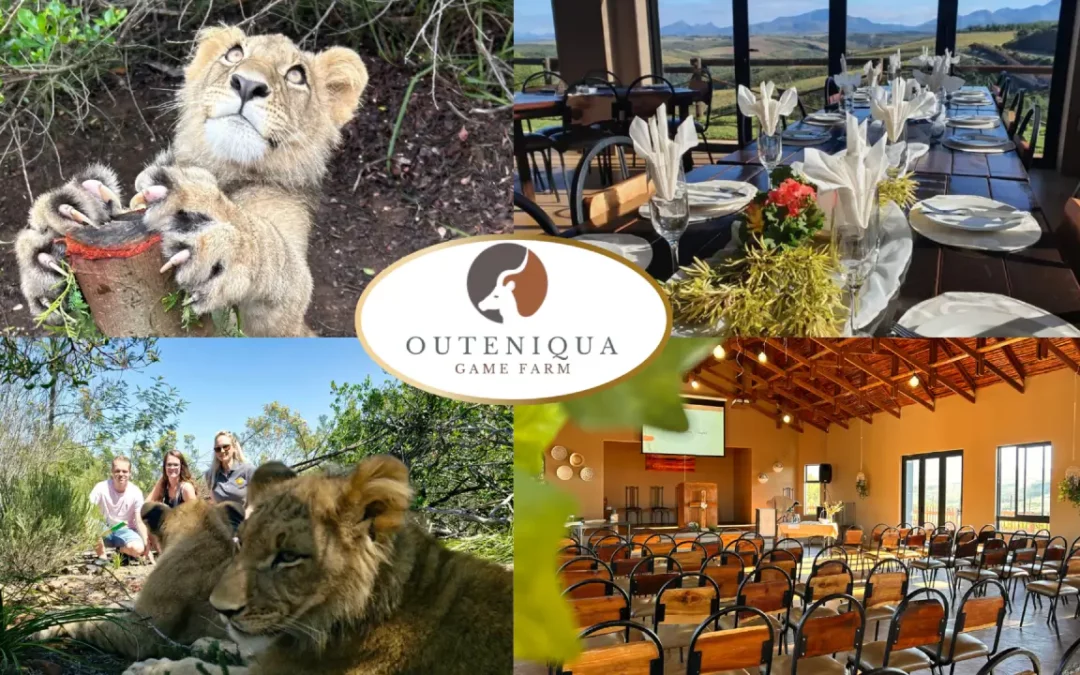 Outeniqua Game Farm