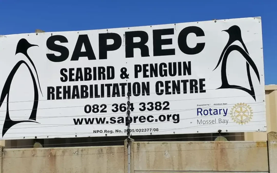 The Seabird & Penguin Rehabilitation Centre (SAPREC)