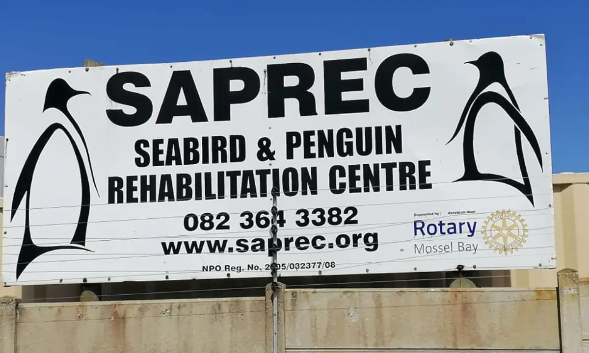 The Seabird & Penguin Rehabilitation Centre (SAPREC)