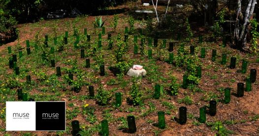 garden and labyrinth